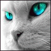  (102x102, 7Kb)