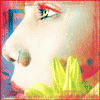  (100x100, 6Kb)