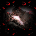  (120x120, 7Kb)