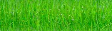20159617_15584475_12718260_4669240_00_2 (381x106, 7Kb)