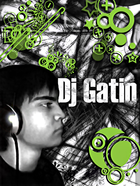 Dj Gatin_by_sT!g (455x605, 332Kb)