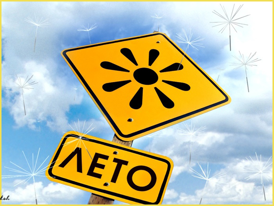 ffhfh (550x413, 226Kb)