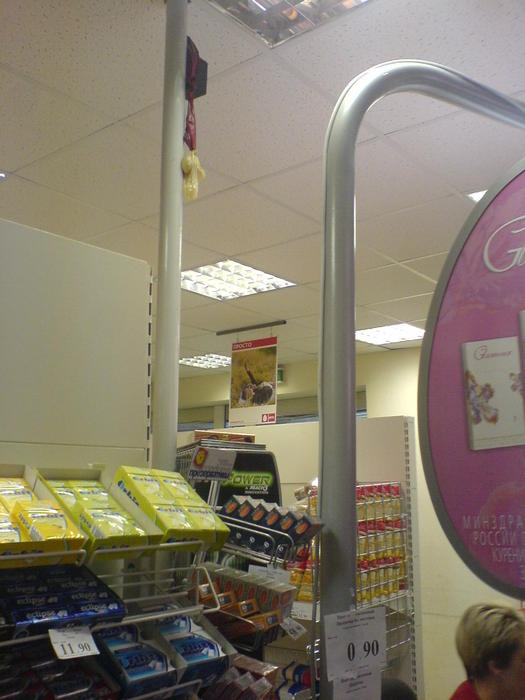 DSC02055 (525x700, 54Kb)