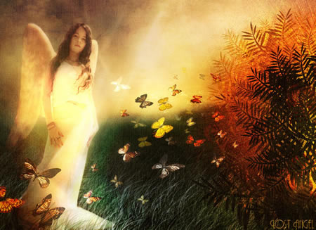 2121 (450x327, 40Kb)