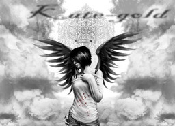  (256x185, 17Kb)