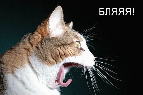  (490x326, 33Kb)