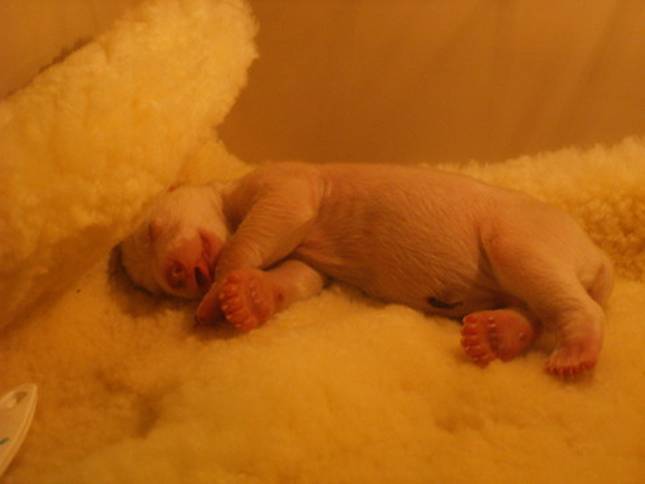 image001 (645x484, 18Kb)
