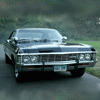 impala_02 (100x100, 8Kb)