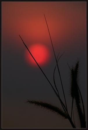  (303x448, 8Kb)