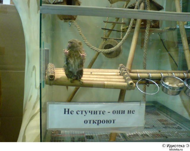  (640x510, 52Kb)