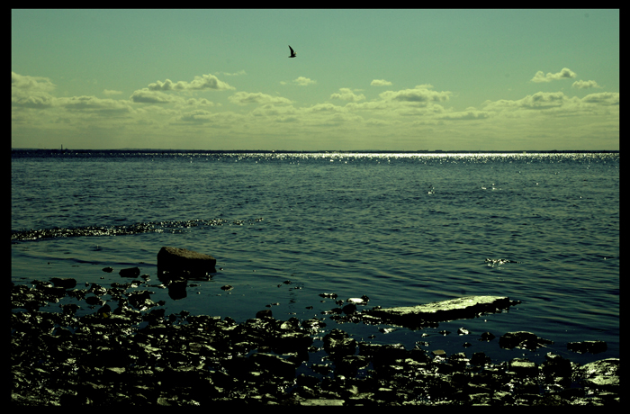  (700x460, 328Kb)