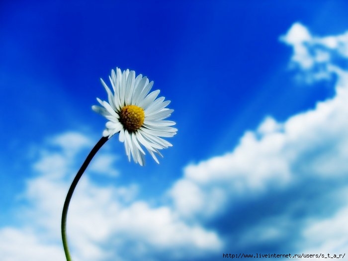  (700x525, 33Kb)