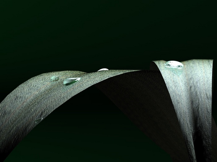 2 (700x525, 76Kb)