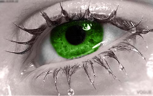  (500x314, 52Kb)