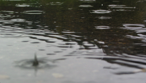 12551674_12032664_71570_26165581 (500x284, 718Kb)