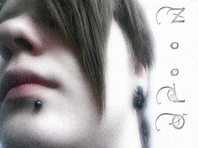  (640x480, 172Kb)