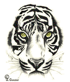  (300x350, 81Kb)