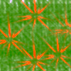  (100x100, 21Kb)