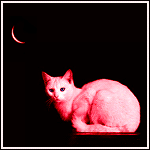  (150x150, 14Kb)