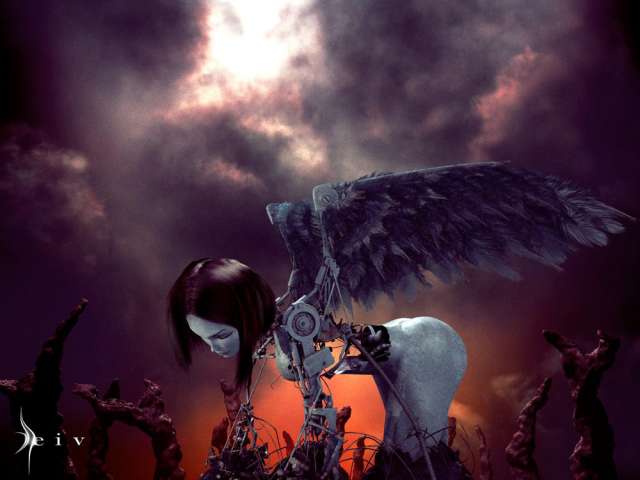  (640x480, 24Kb)