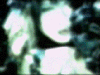  (321x240, 2577Kb)