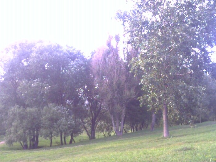  (700x525, 98Kb)