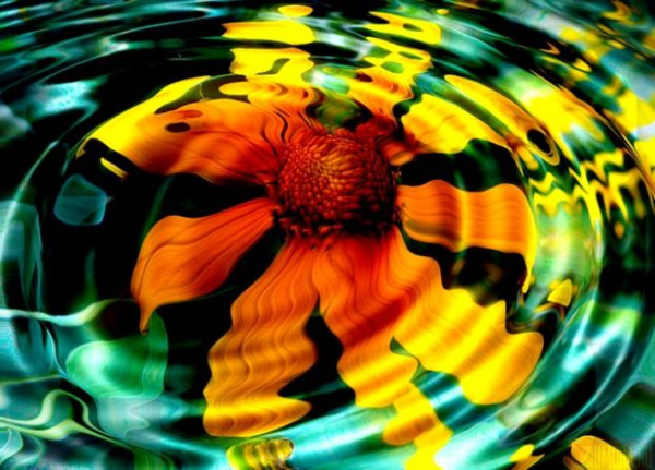 118443870325519 (600x431, 112Kb)