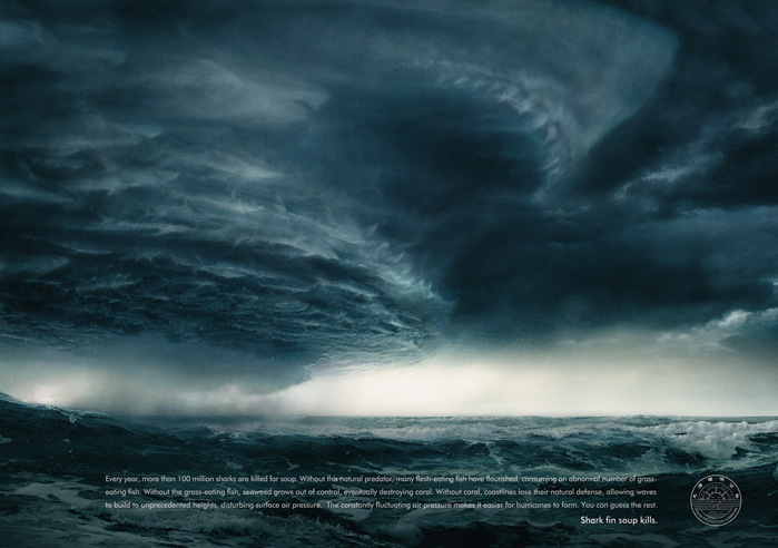 Shark (699x492, 103Kb)