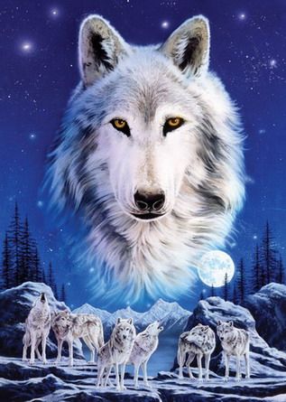 6101429_5504095_poster (317x445, 33Kb)