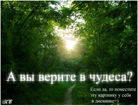 http://img0.liveinternet.ru/images/attach/b/2/23/403/23403613_kljsh.jpg
