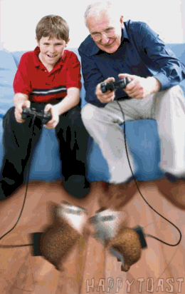  (260x412, 182Kb)