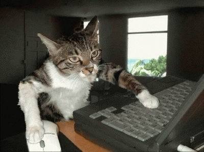  (400x298, 19Kb)