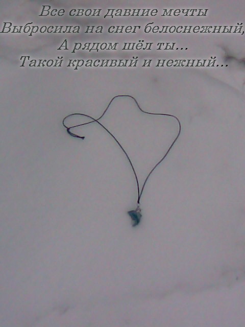  (480x640, 46Kb)