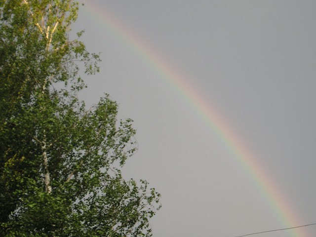  (640x480, 64Kb)
