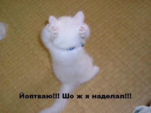  (622x466, 46Kb)