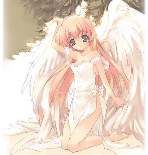  (478x500, 37Kb)