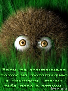  (240x320, 73Kb)