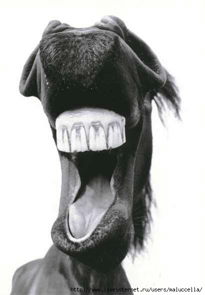 smile_often (411x591, 32Kb)