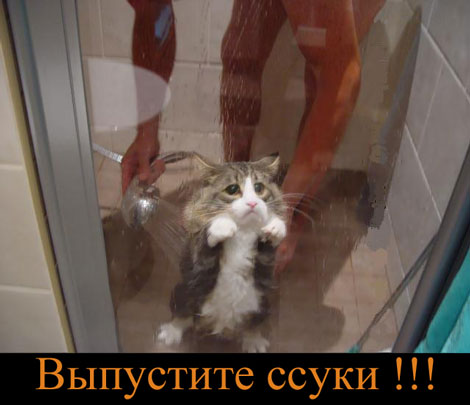  (470x405, 33Kb)