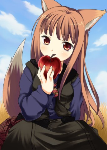  (344x480, 42Kb)