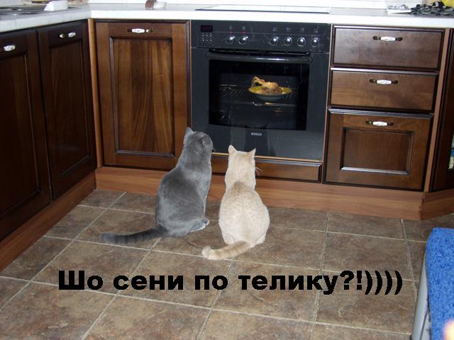 175445_n6kGxEV2yY (640x480, 48Kb)