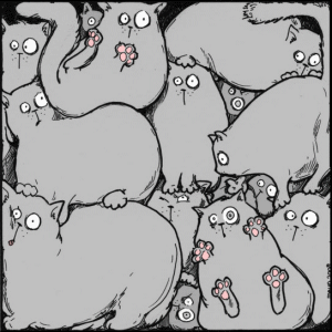  (300x300, 64Kb)