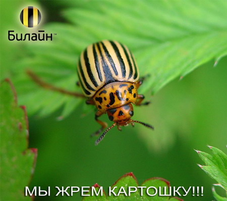  (450x398, 45Kb)