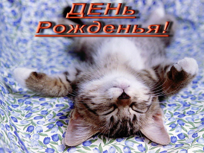  (700x525, 148Kb)