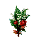  (150x150, 6Kb)