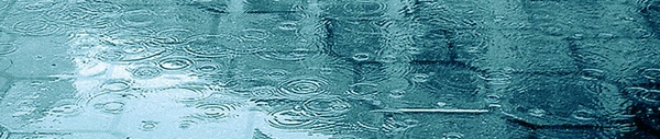  (600x127, 113Kb)