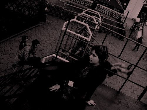  (500x375, 41Kb)