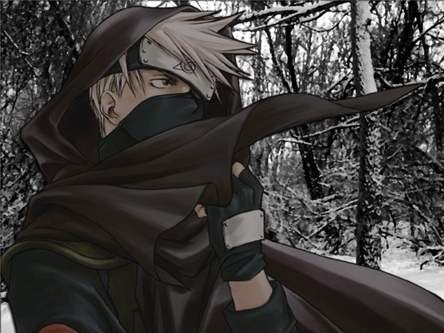  (640x480, 74Kb)
