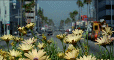 18629285_7503716_3556246_48wknxfix7nc62qv (230x121, 690Kb)