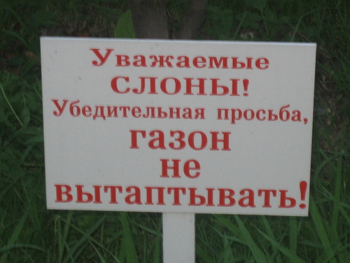  (500x375, 44Kb)